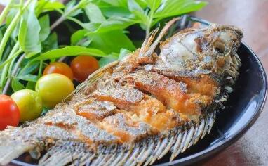 吃鱼为何要因人而异因鱼而异?